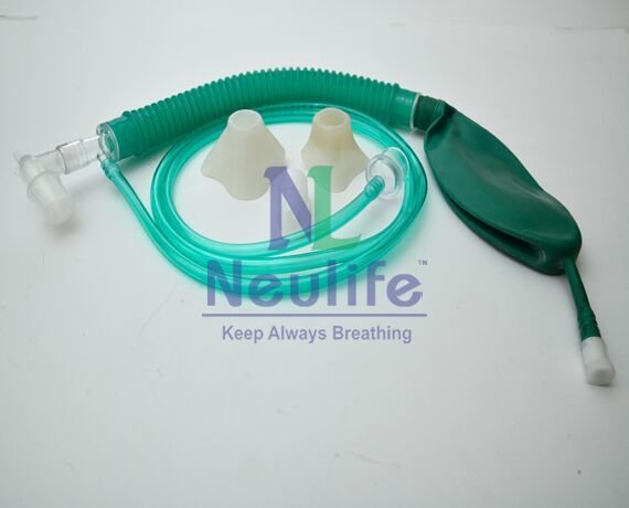 NL8011 Jackson Rees Circuit