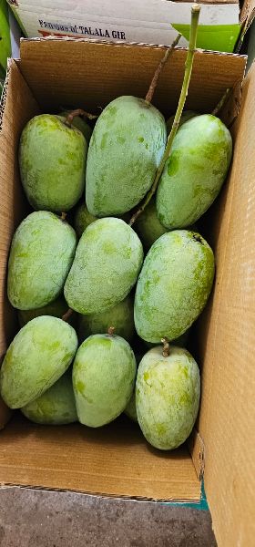 Fresh Kesar Mango