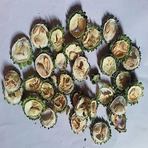 Dehydrated Bitter Gourd Flakes