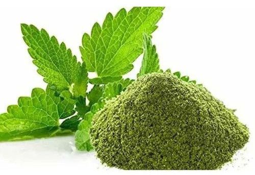 Dehydrated Mint Leaves Powder