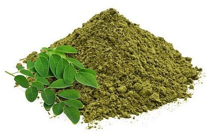 Dehydrated Moringa Powder