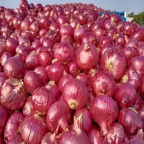 A Grade Fresh Red Onion