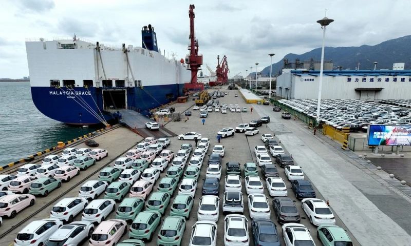 Sea Cargo Freight Forwarder Services