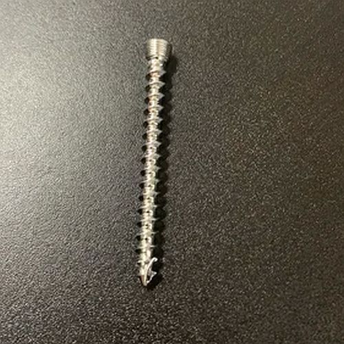 Stainless Steel Die Lock Screw
