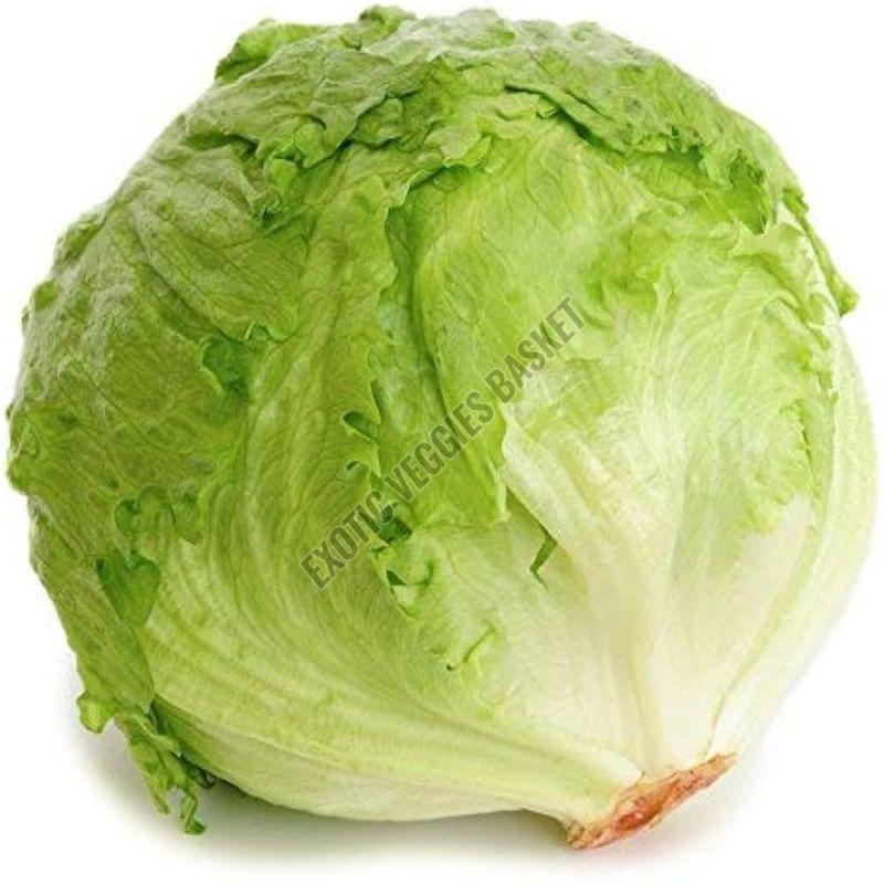 Fresh Iceberg Lettuce