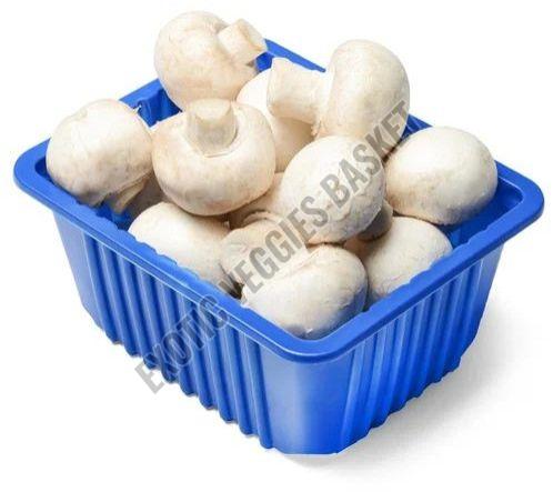 Fresh Mushroom