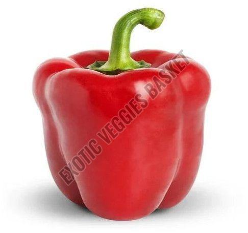 Fresh Red Capsicum