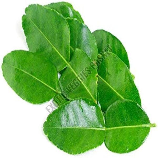 Makrut Leaves