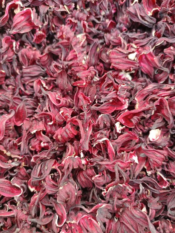 Dry Hibiscus Flower