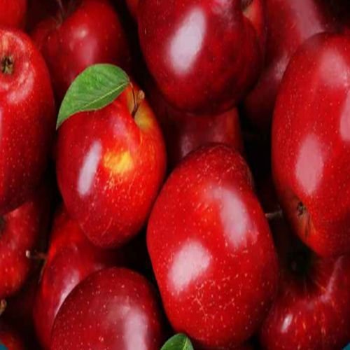 A Grade Fresh Red Apple