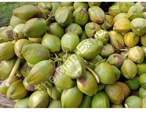 A Grade Tender Coconut