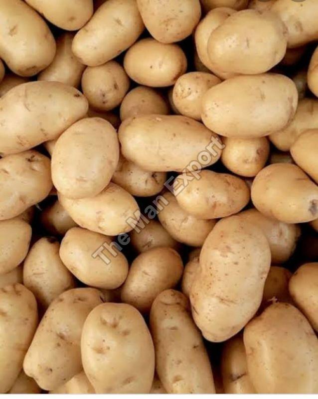 Fresh Kanchan Potato