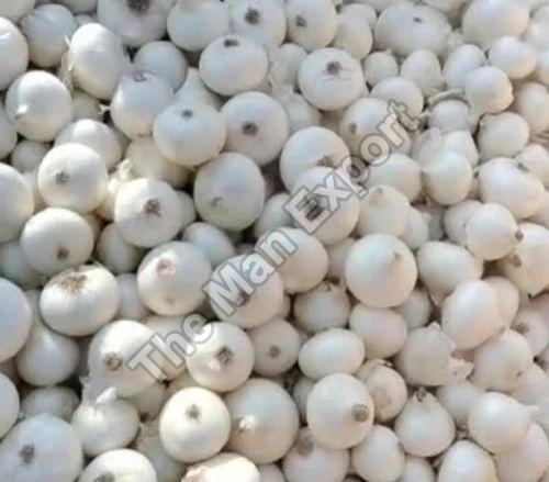Fresh White Onion
