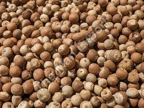 Raw Areca Nuts