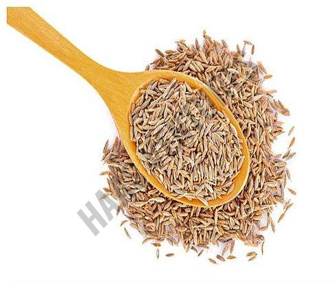 Cumin Seeds