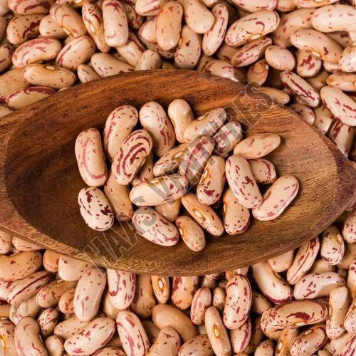 Light Speckled Kidney Beans