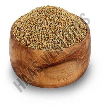 Pearl Millet Seeds