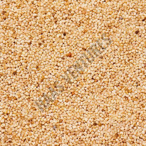 White Poppy Seeds
