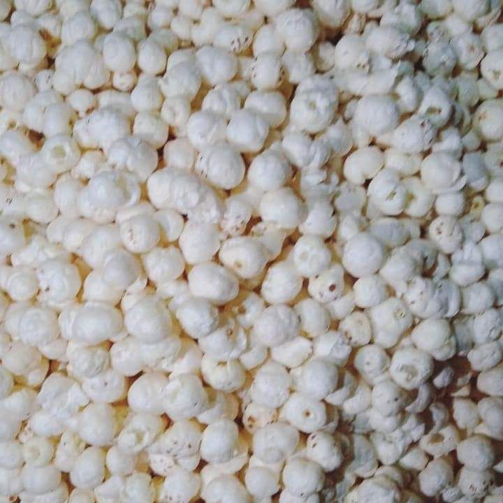 Fox Nuts