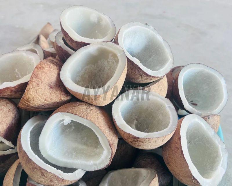 Dried Coconut Copra