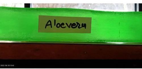 Aloe Vera Handmade Bath Soap Base