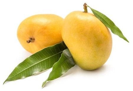 A Grade Fresh Kesar Mango