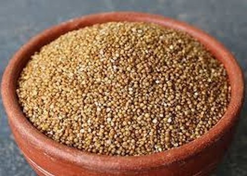 Organic Barnyard Millet Seeds