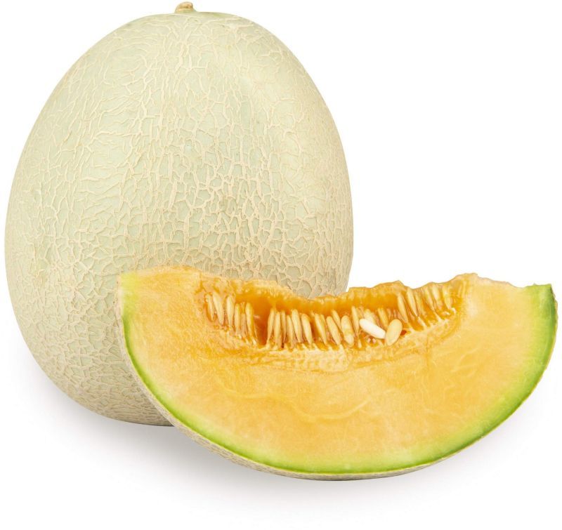Fresh Round Muskmelon