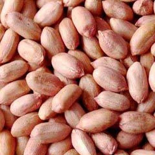 Peanut Seeds