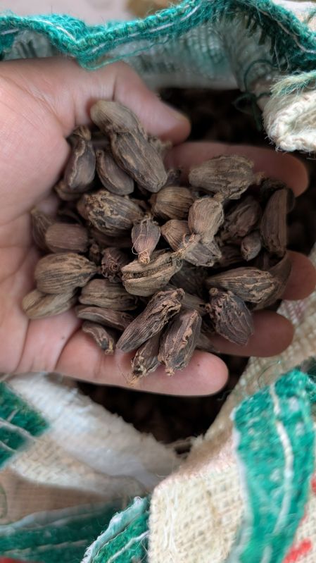 Black Cardamom