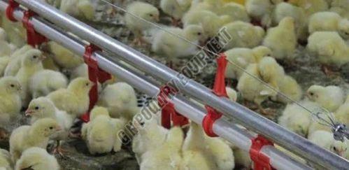 Poultry Farm Plastic Sprinkler