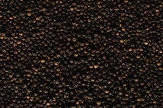 Black Pepper Seeds