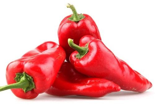 Red Chilli Pepper