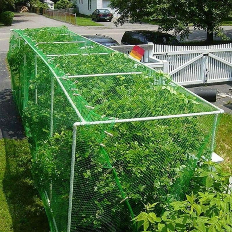 Durable Garden Bird Netting for Plants
