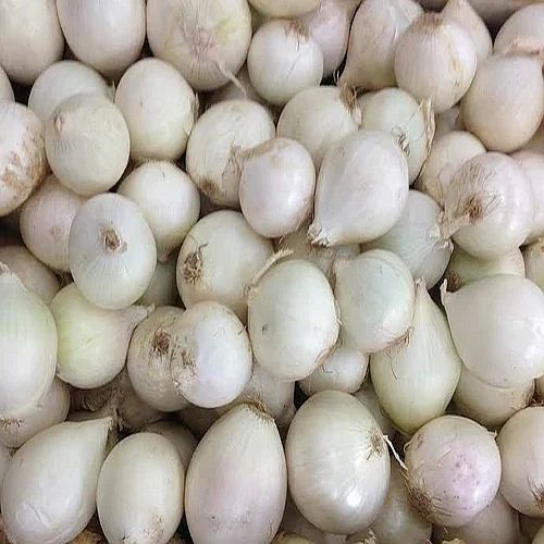 A Grade White Onion
