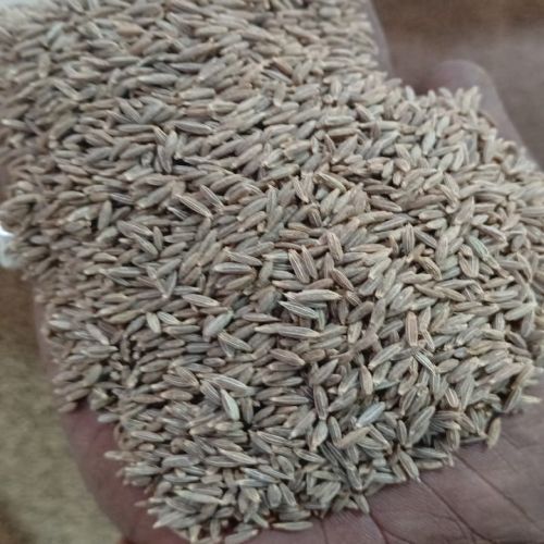 Cumin Seed