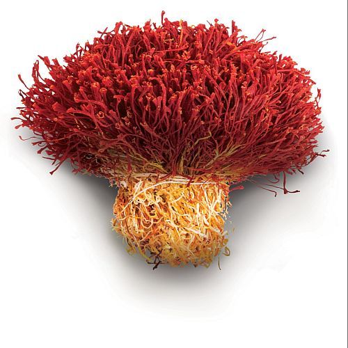 Natural Bunch Saffron