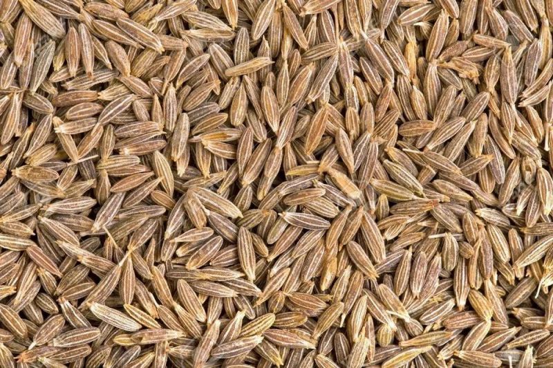 Super Bold Cumin Seeds