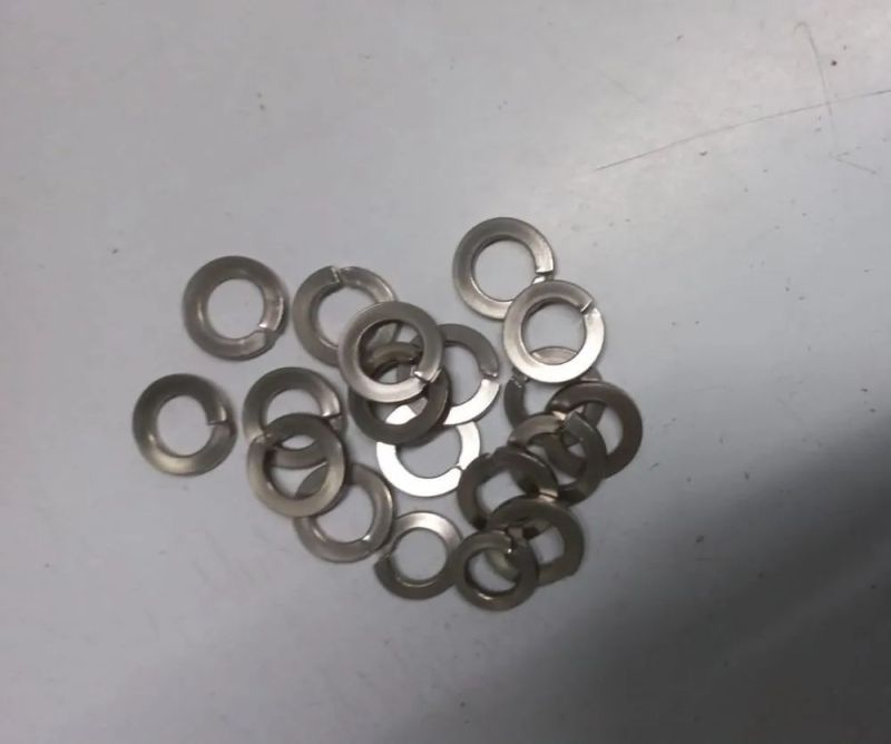 Zinc Plated Stainless Steel Spring Washer