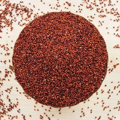 A Grade Millet Seeds