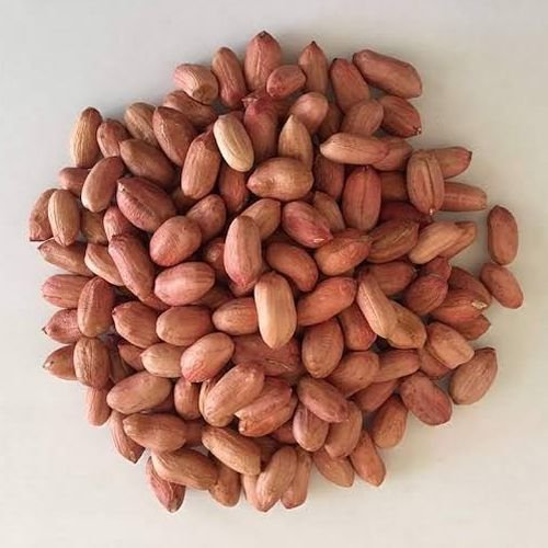 Bold Peanut Seeds