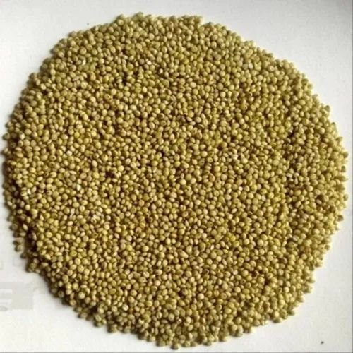 Brown Top Millet Seeds