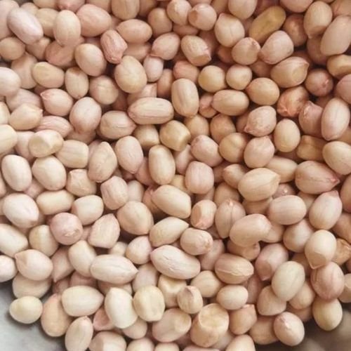 Dried Peanut Seeds