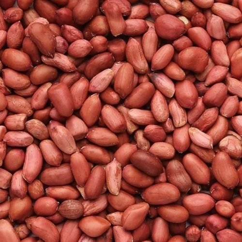 Natural Peanut Seeds