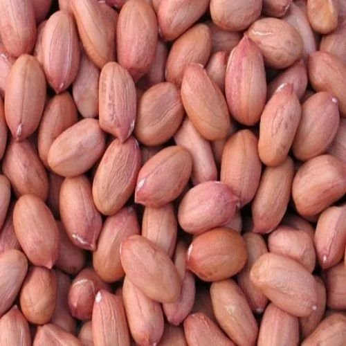 Organic Peanut Seeds