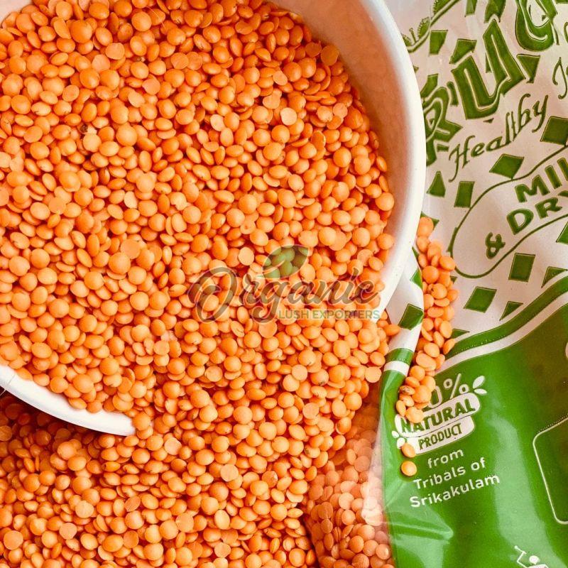 Masoor Dal
