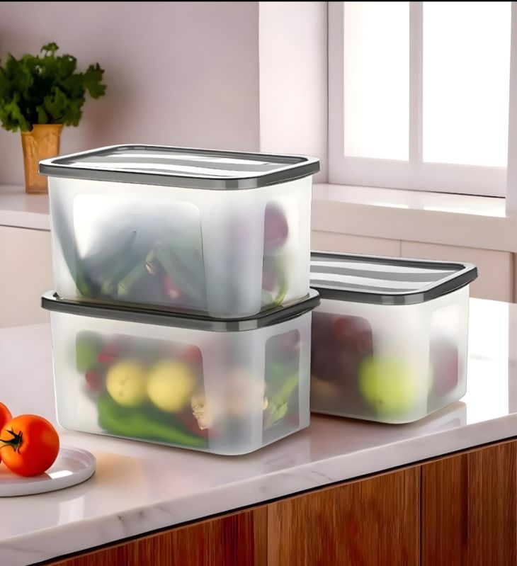 Easy 2000 Ml Plastic Household Container