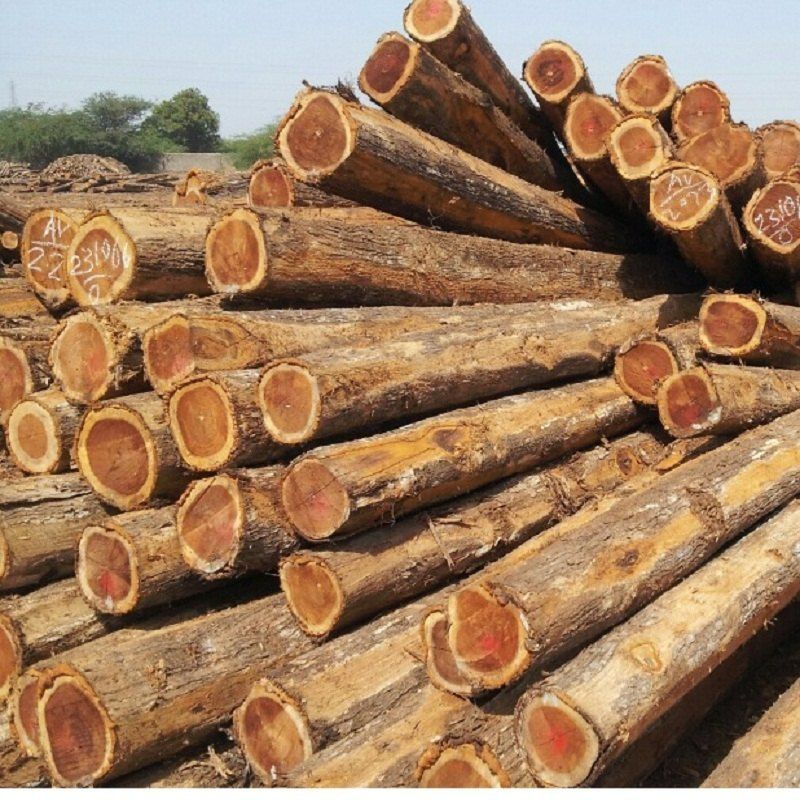 African Teak Wood Logs