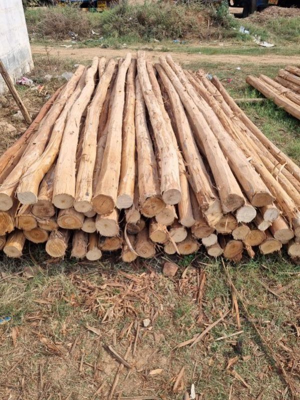 10 Feet Brown Eucalyptus Pole