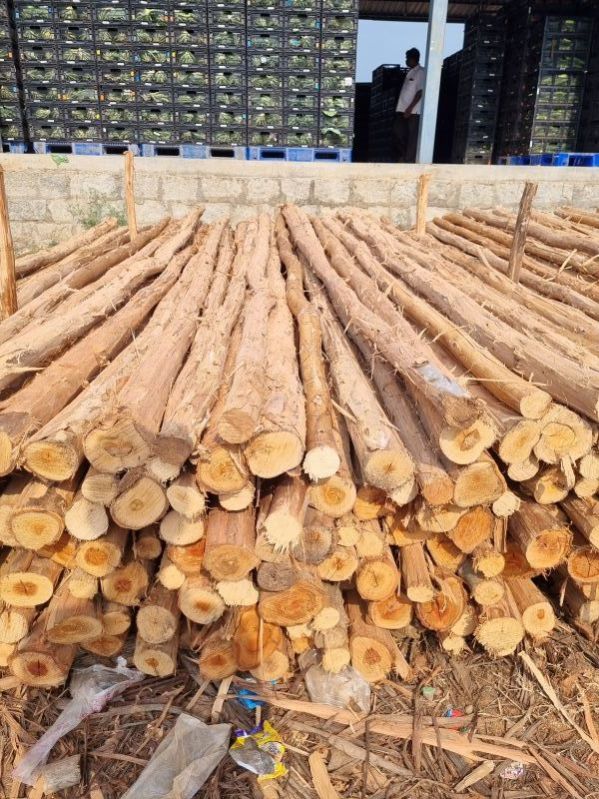 14 Feet Round Wooden Pole
